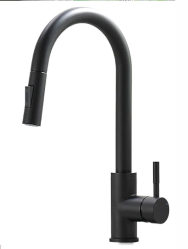 Black Kitchen Faucet