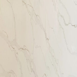 Countertop Slab  Calacatta Oreo