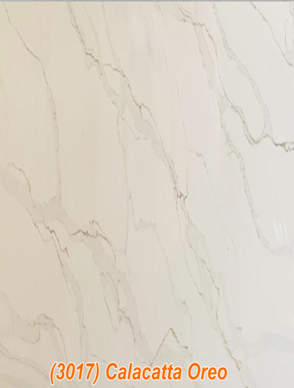 Countertop Slab  Calacatta Oreo