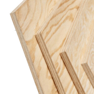 Pine Ply
